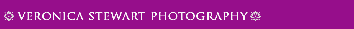 Veronica Stewart Photography